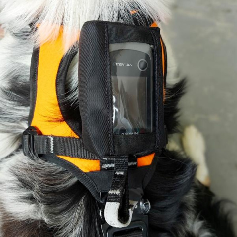 Uprząż Haria K9 Uprząż Haria K9
